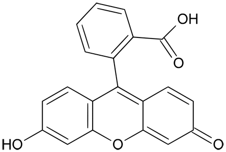 Hemascein2